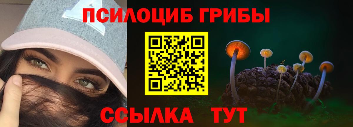 Псилоцибиновые грибы мицелий  Вход с VPN  Краснокамск 